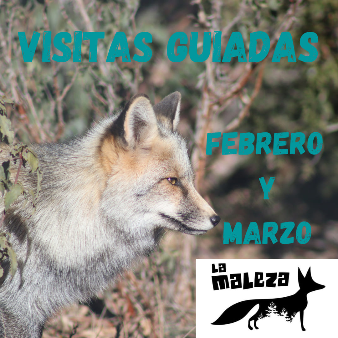 Visitas guiadas en el Parque de Fauna, La Maleza