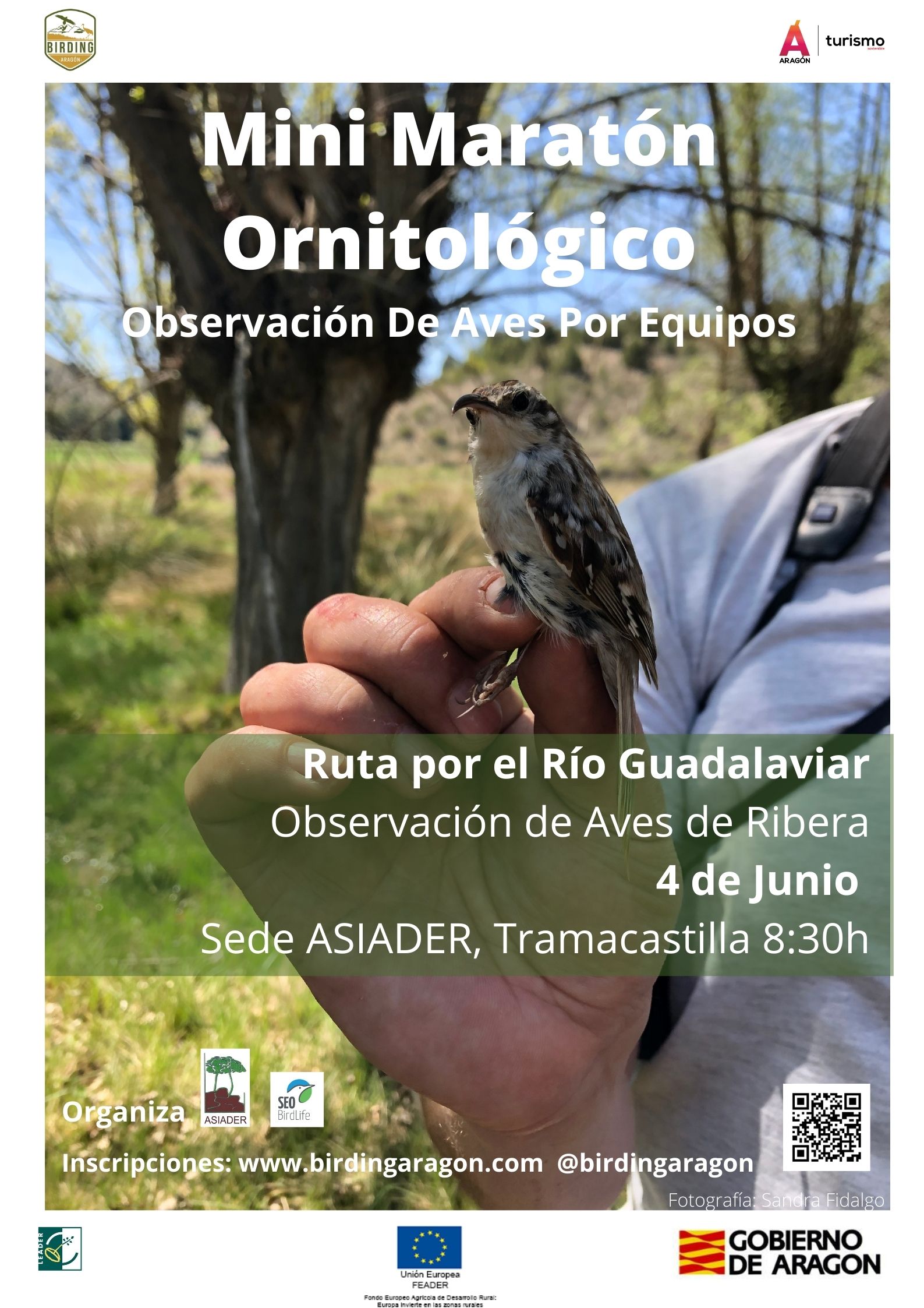 Mini Maratón Ornitológico