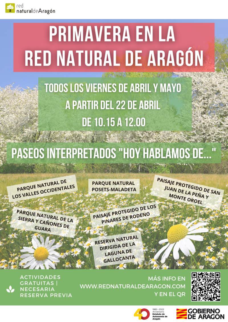 Paseos interpretados Pinares de Rodeno