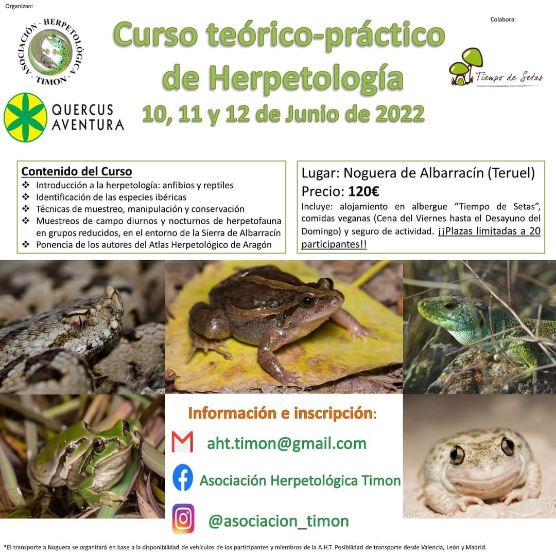 Curso de Herpetología en la Sierra de Albarracín