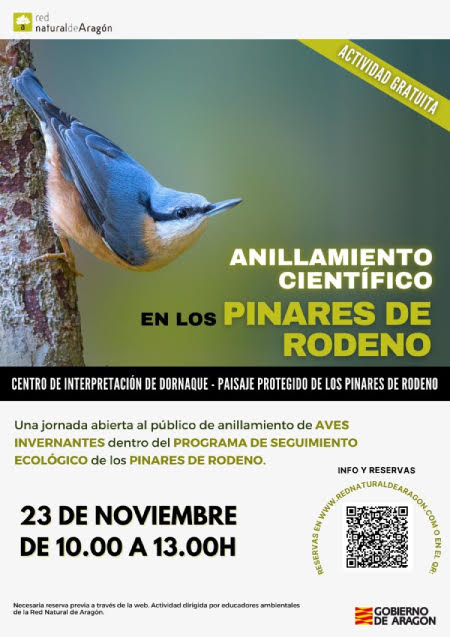 Seguimiento ecológico de aves en Dornaque