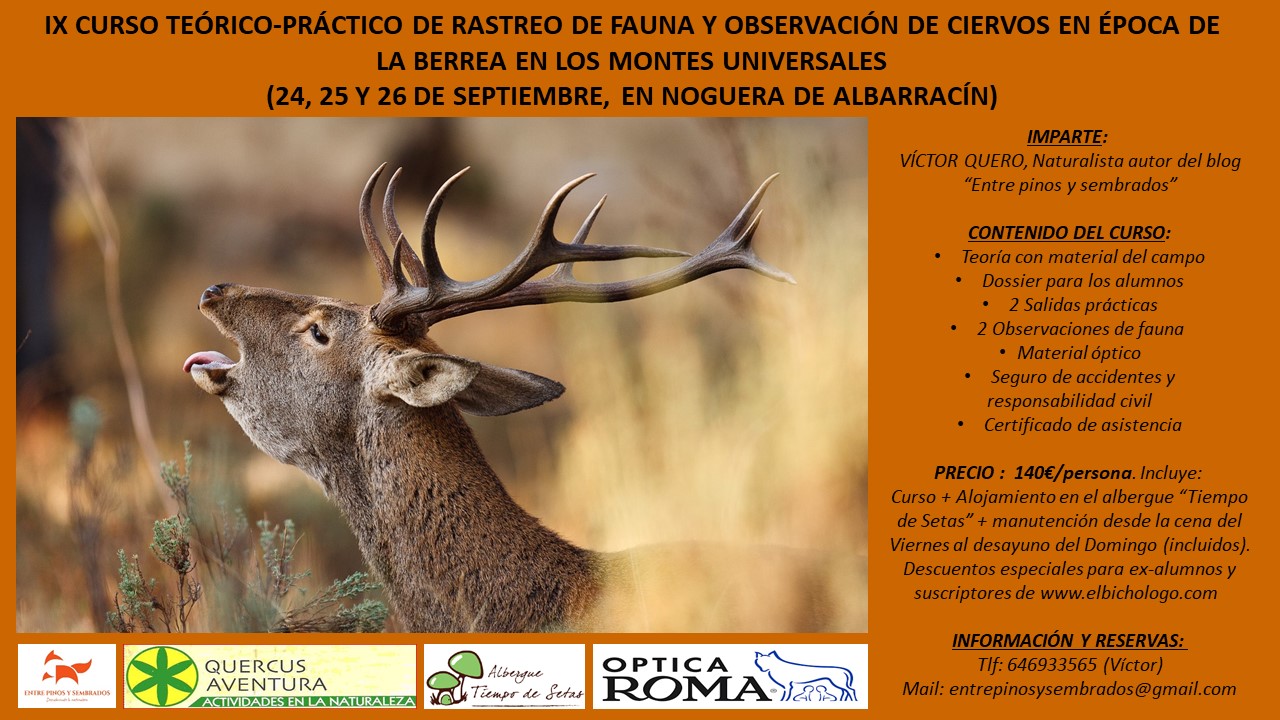 IX Curso teórico-práctico de rastreo de fauna y observación de ciervos en época de berrea