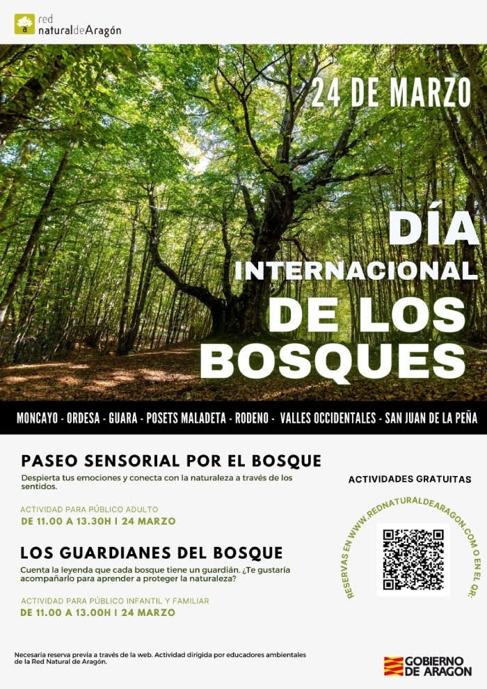 Día Internacional de los Bosques en Pinares de Rodeno