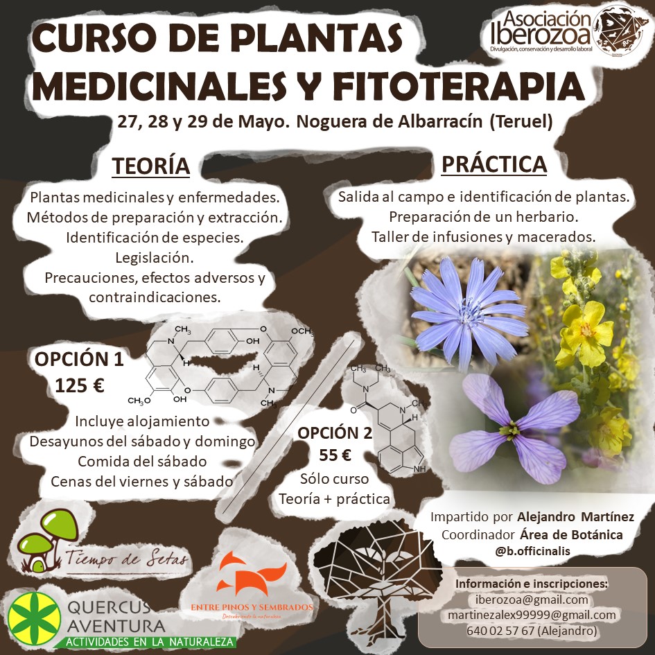 Curso de Plantas medicinales y Fitoterapia