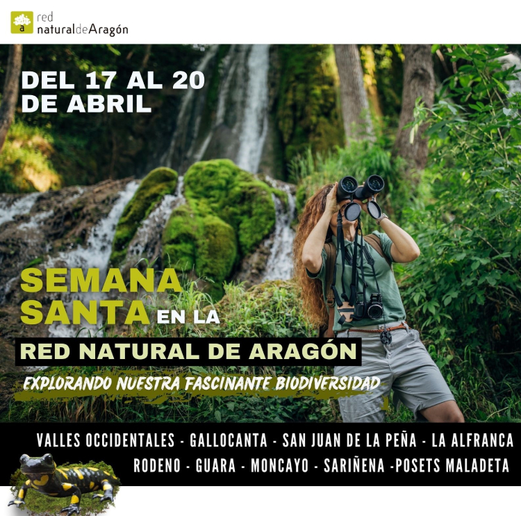 Actividades  de Semana Santa en Pinares de Rodeno