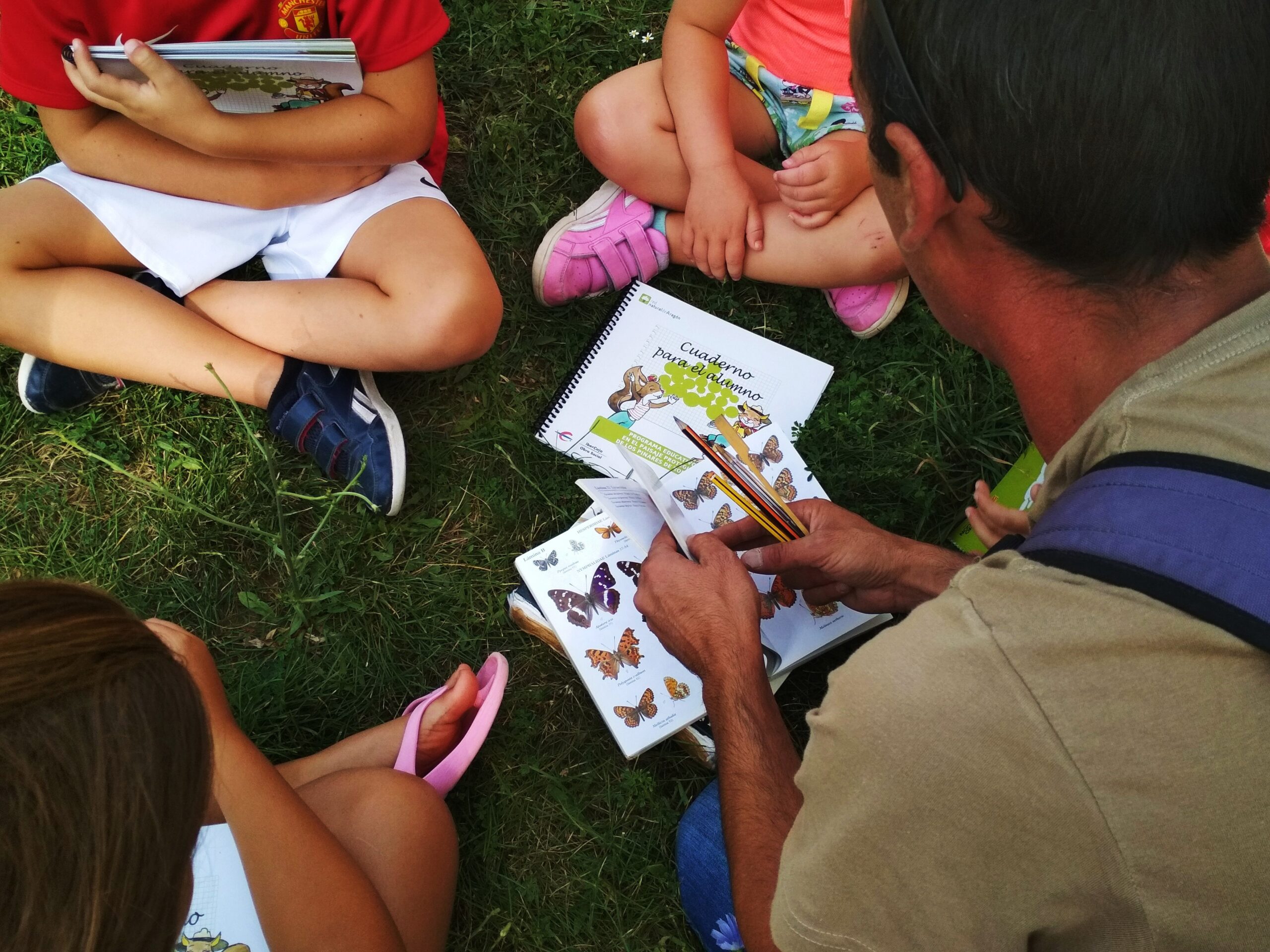 Taller en el paisaje protegido de los Pinares de Rodeno 2022 – Aprendiendo de mariposas en el Rodeno