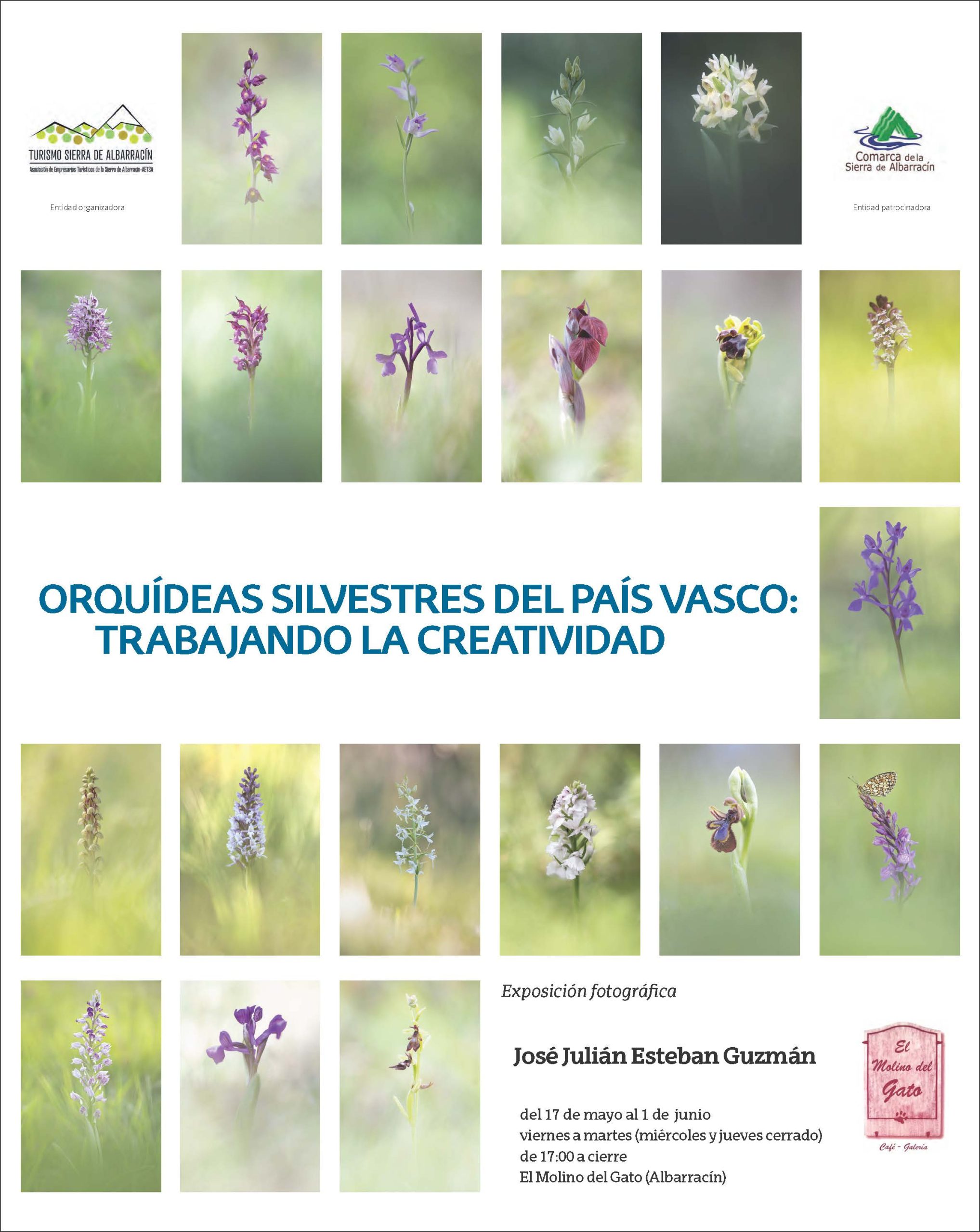 Exposición “Orquídeas Silvestres del País Vasco” en Albarracín