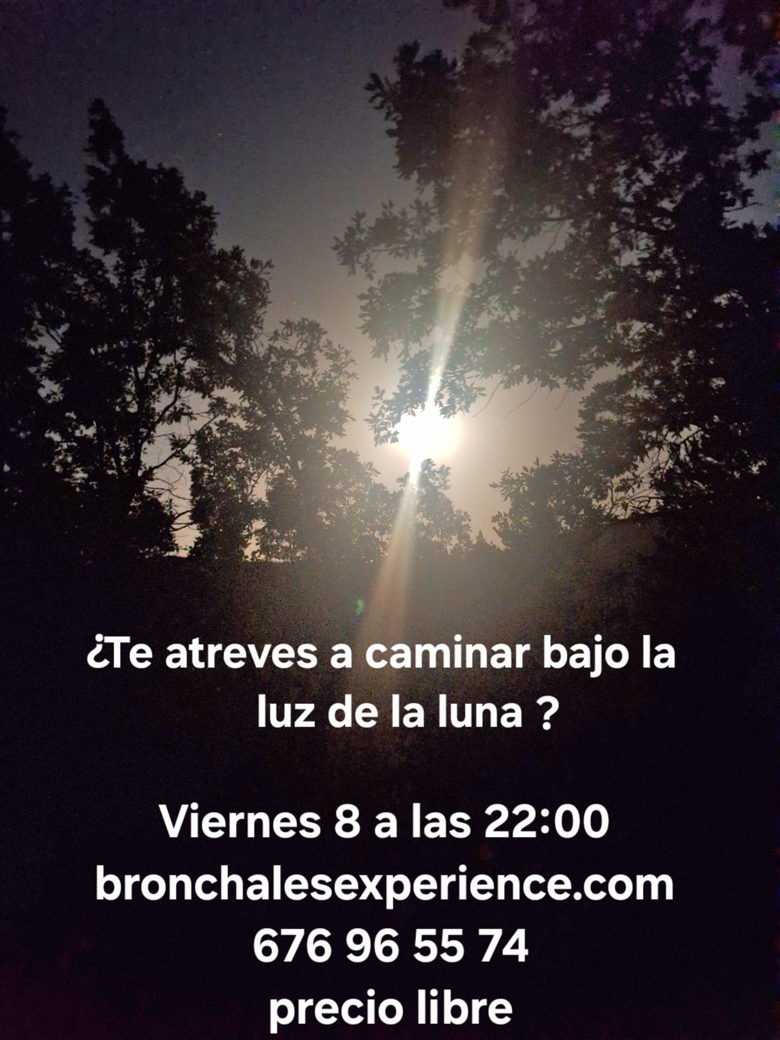 Noche de aventura bajo la luna llena
