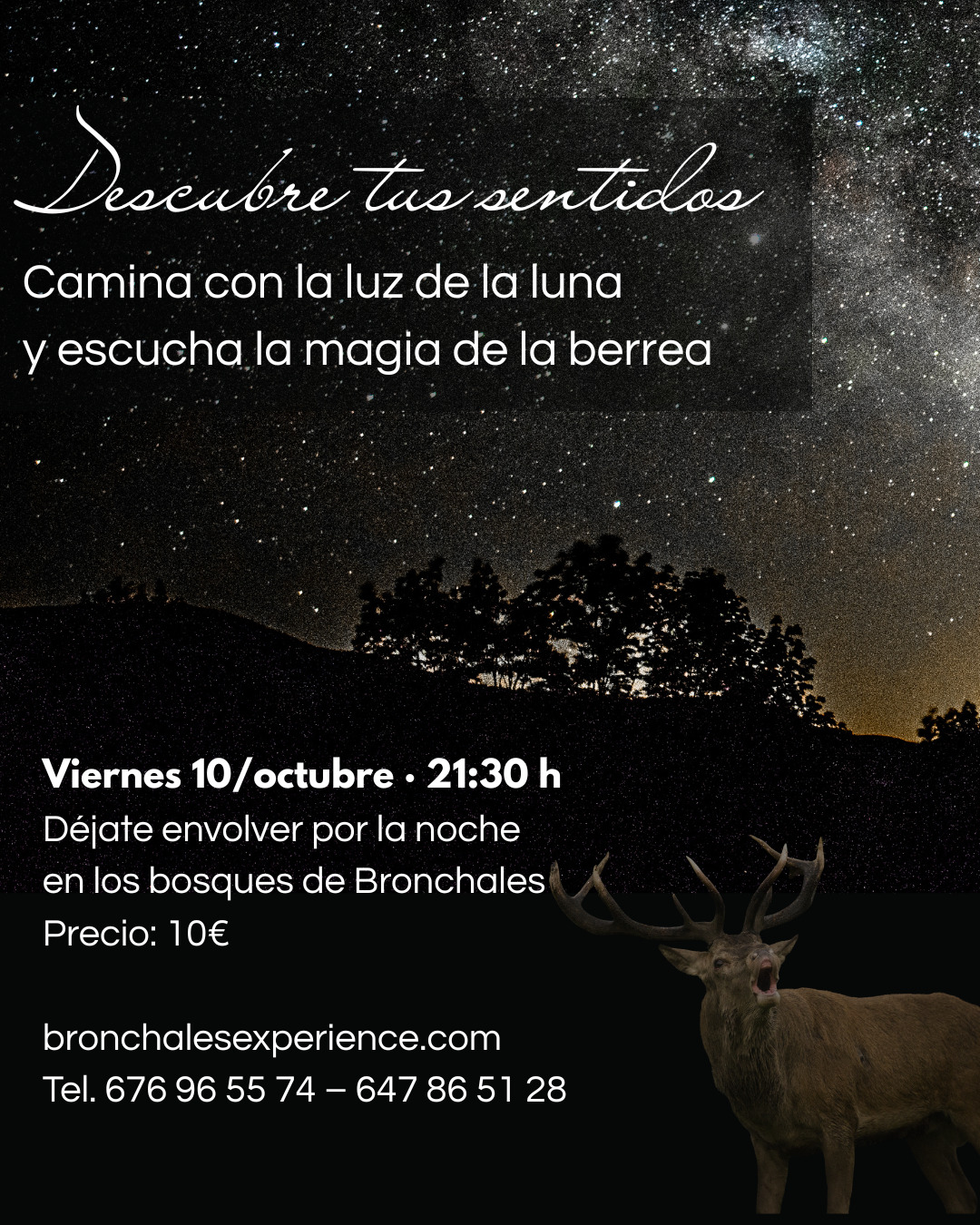 Descubre tus sentidos: una experiencia nocturna en los bosques de Bronchales