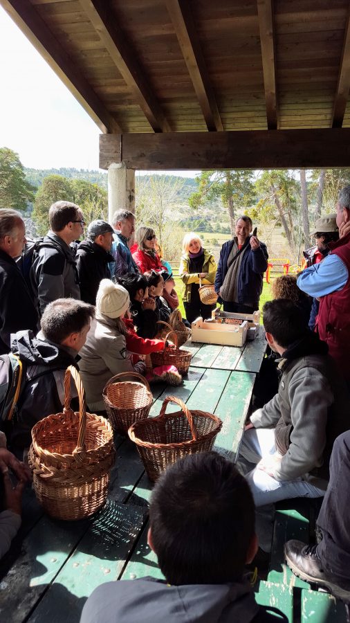Jornadas setas sierra de albararcin