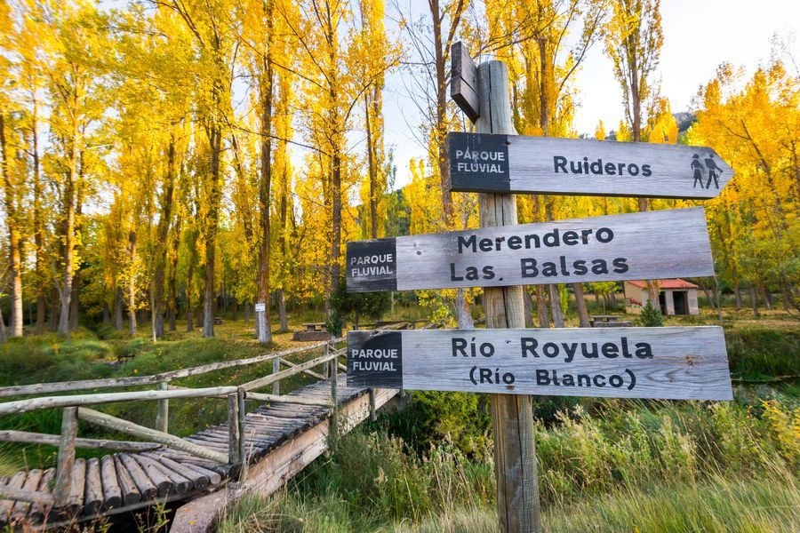 Balsa de Royuela