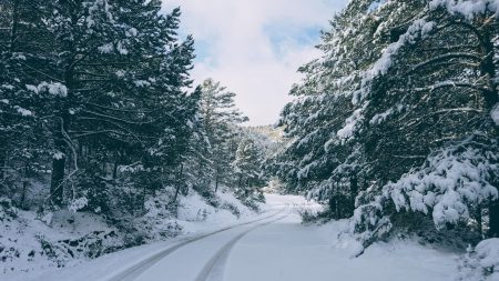 nieve