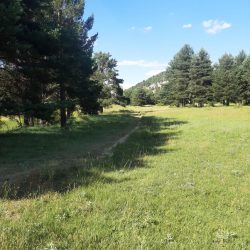 Ruta algarbe