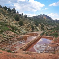 salinas de royuela