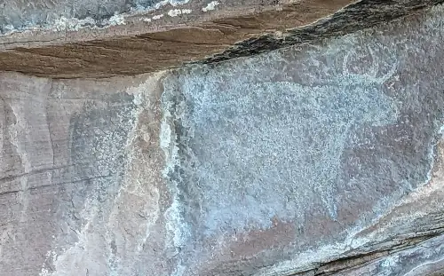 pinturas rupestres