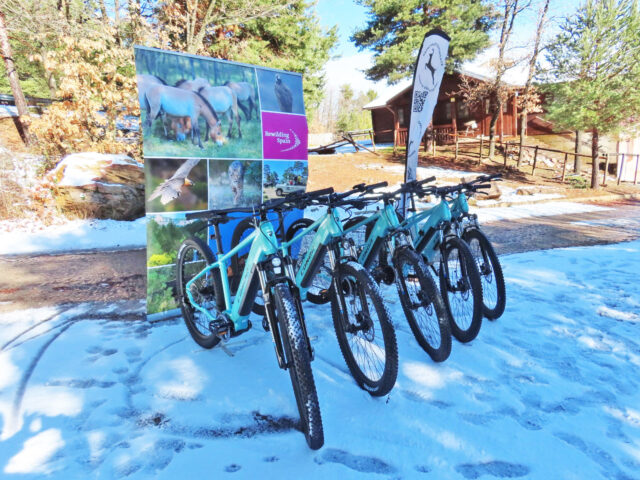 Bronchales Experience recorre los Montes Universales en e-bike gracias a las ayudas de Rewilding Spain