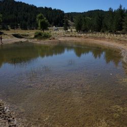 Nacimiento del Tajo Nacimiento del Tajo