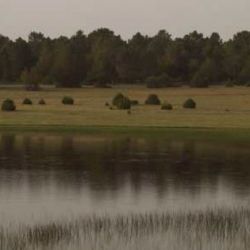 Laguna de Rubiales