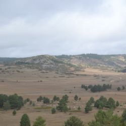 Pastizales adesehados Pastizales adesehados