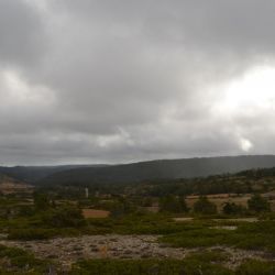 Zona estepárica con sabina rastrera y algún retazo de cultivo Zona estepárica con sabina rastrera y algún retazo de cultivo