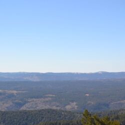 Vista de la muela de la Pinada desde Sierra Alta, al fondo la Muela de Griegos nevada Vista de la muela de la Pinada desde Sierra Alta, al fondo la Muela de Griegos nevada